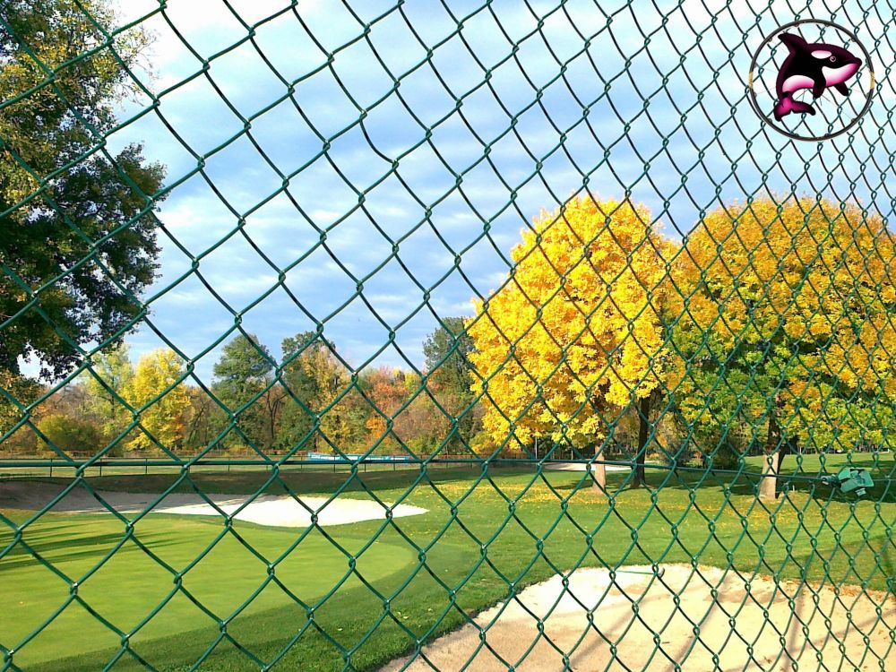 Ada Golf