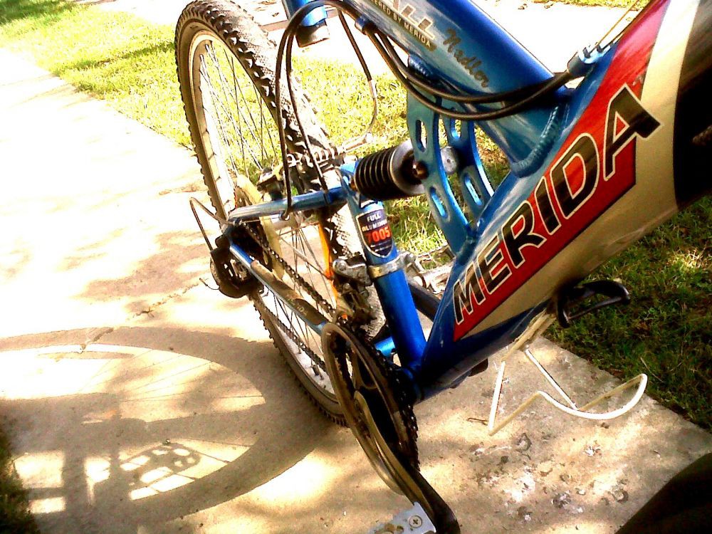 IMG00620-20131022-1358