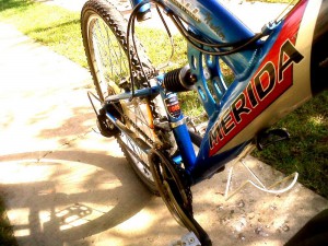 IMG00620-20131022-1358