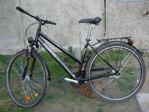 Canon 012