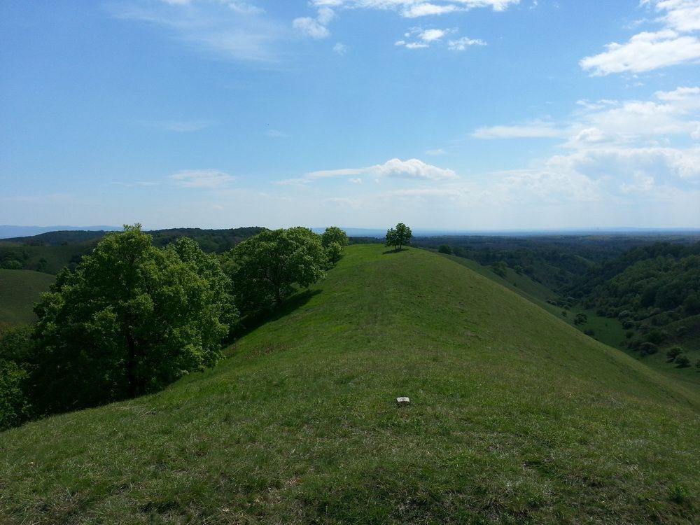 Zagajica
