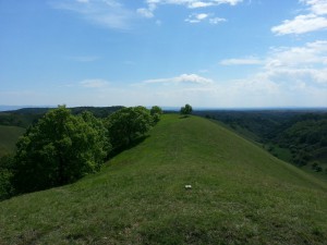 Zagajica