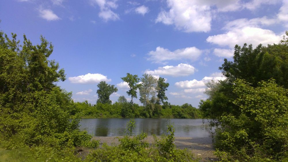 Sava 1