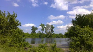 Sava 1
