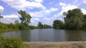 Sava 2