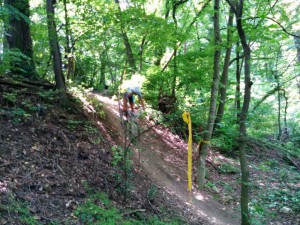 IMG 20140511_120145
