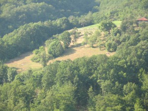 Vranje-Streser (Pera) (6)