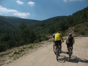 Vranje-Streser (Pera) (20)