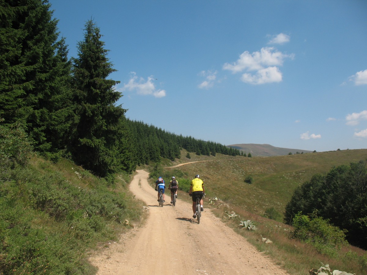 Vranje-Streser (Pera) (37)