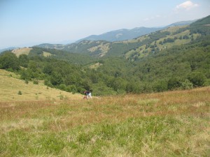 Vranje-Streser (Pera) (38)