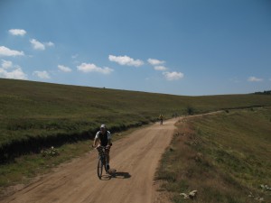 Vranje-Streser (Pera) (43)