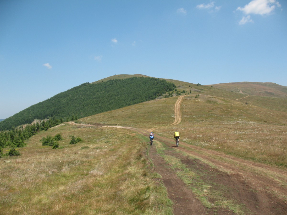Vranje-Streser (Pera) (49)