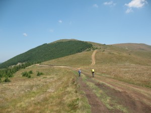 Vranje-Streser (Pera) (49)