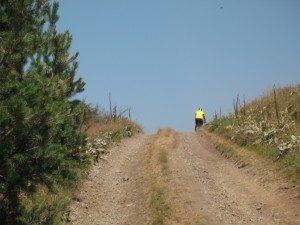 Vranje-Streser (Pera) (54)