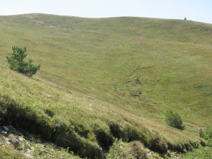 Vranje-Streser (Pera) (68)