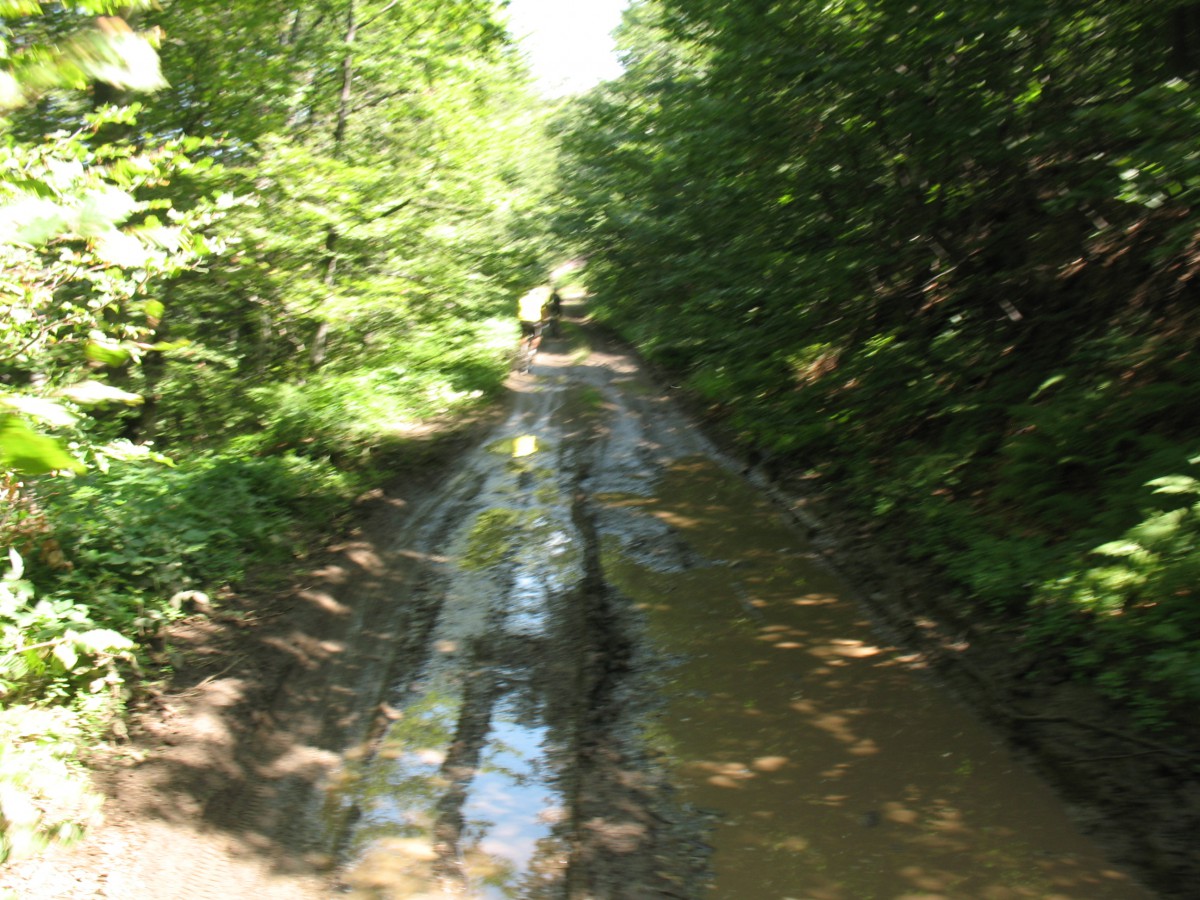 Vranje-Streser (Pera) (55)