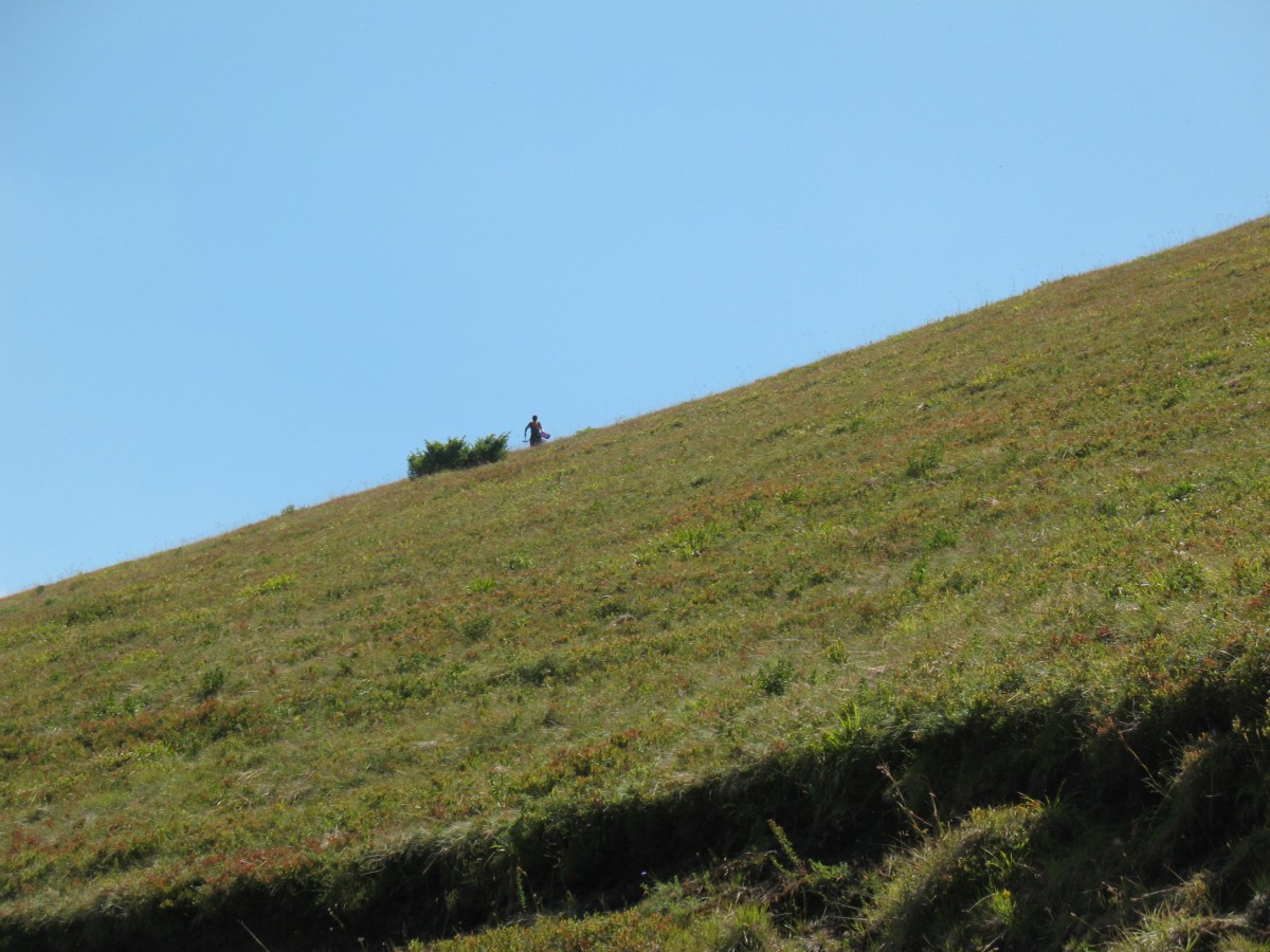 Vranje-Streser (Pera) (62)