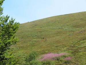 Vranje-Streser (Pera) (64)