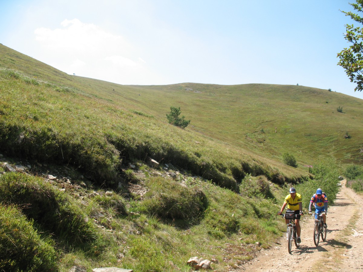 Vranje-Streser (Pera) (67)
