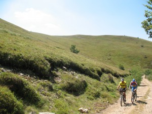Vranje-Streser (Pera) (67)