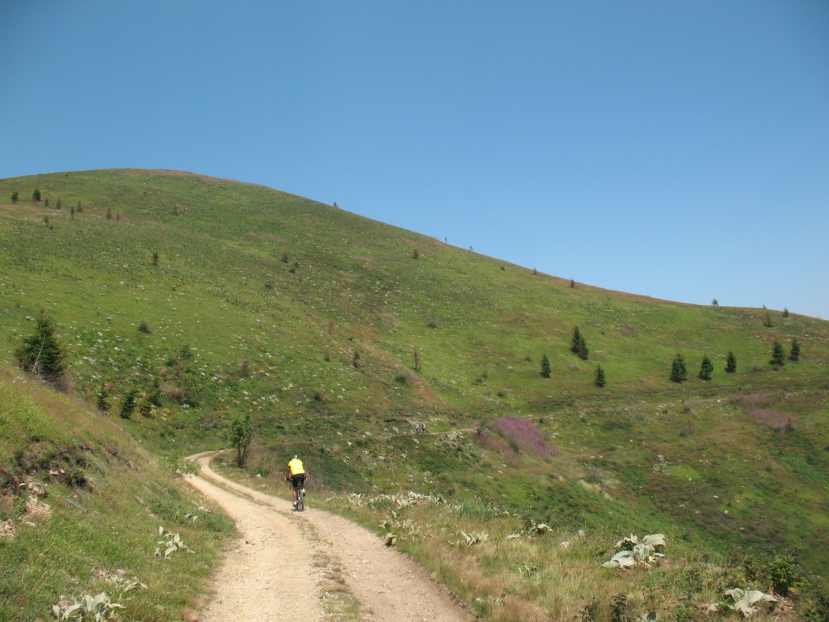 Vranje-Streser (Pera) (69)