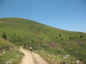 Vranje-Streser (Pera) (69)