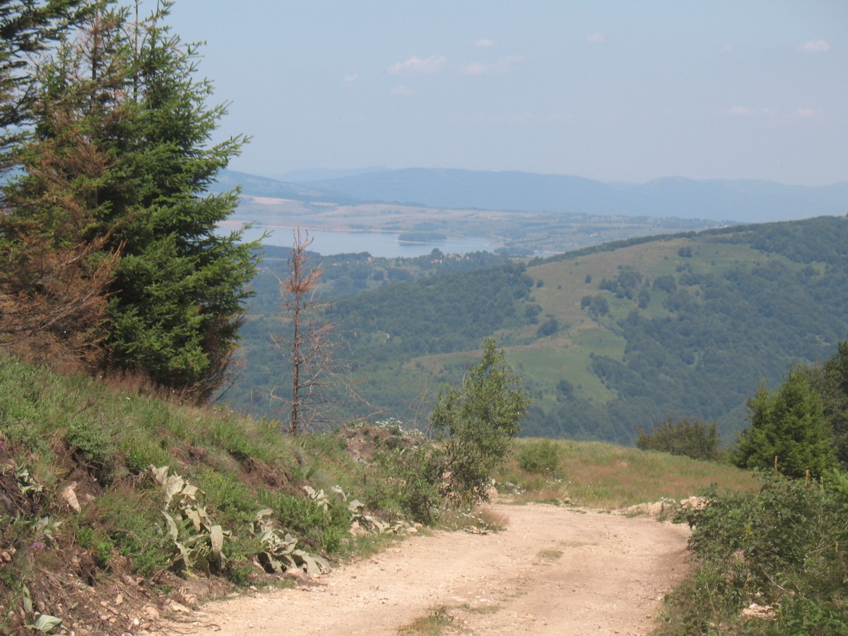 Vranje-Streser (Pera) (74)