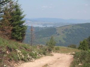 Vranje-Streser (Pera) (74)