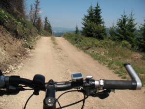 Vranje-Streser (Pera) (73)