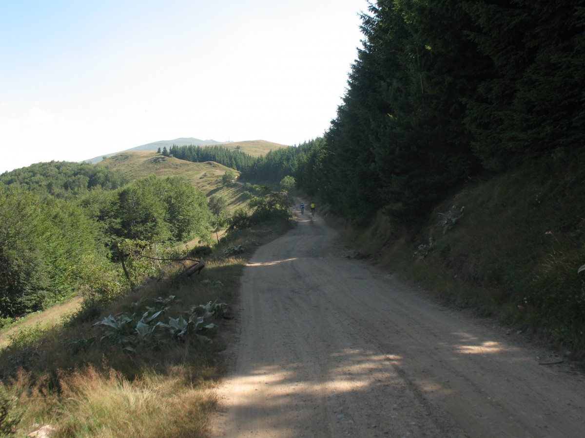 Vranje-Streser (Pera) (140)