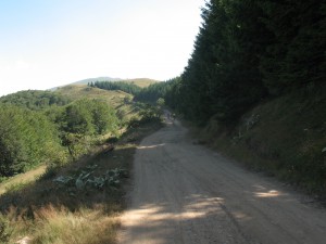 Vranje-Streser (Pera) (140)
