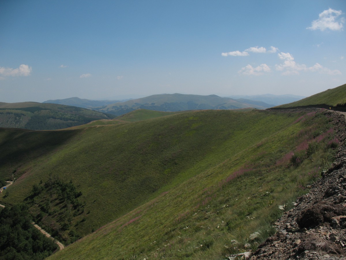 Vranje-Streser (Pera) (117)