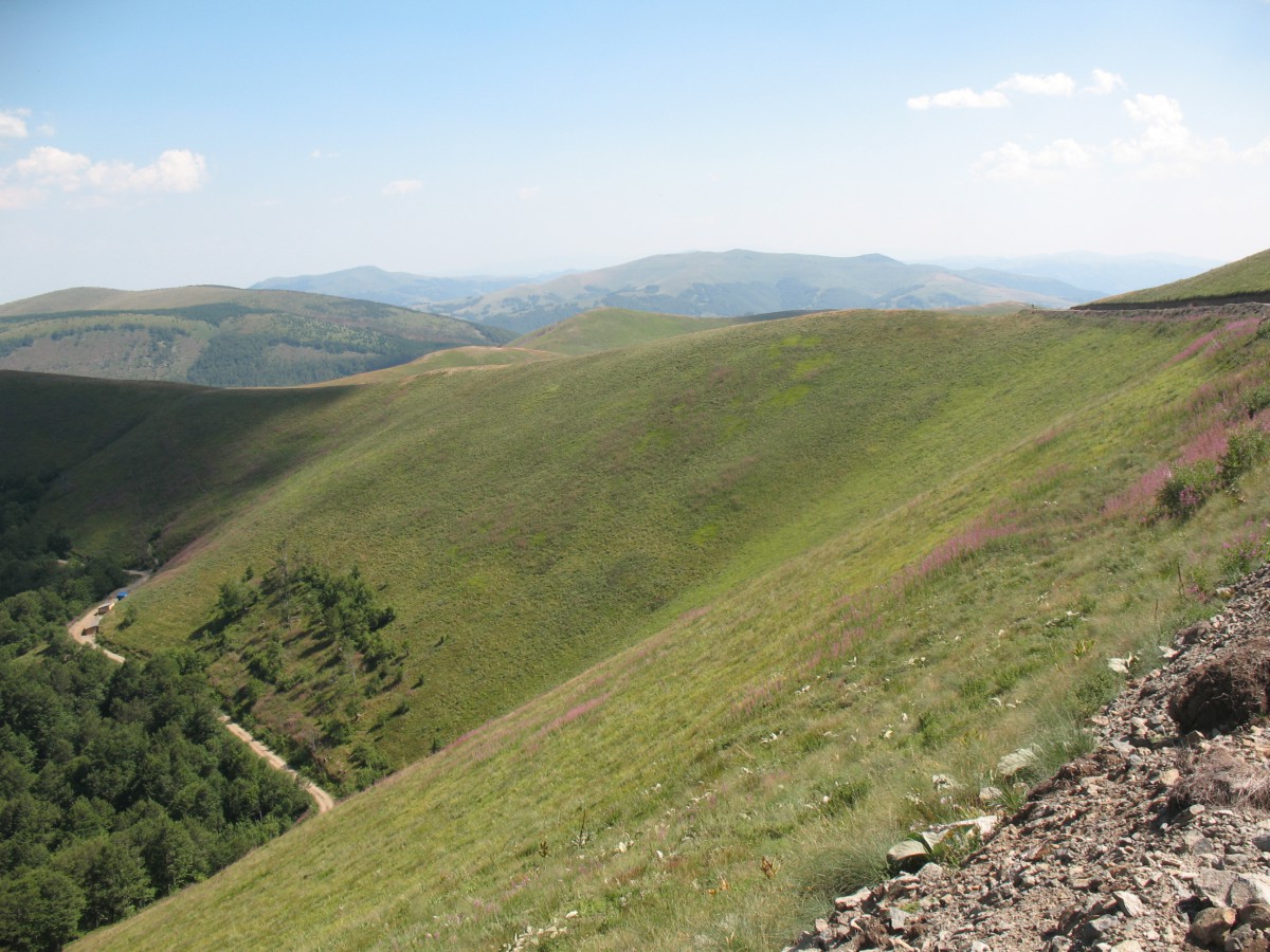 Vranje-Streser (Pera) (116)
