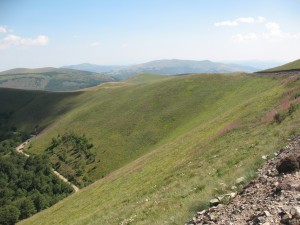 Vranje-Streser (Pera) (116)