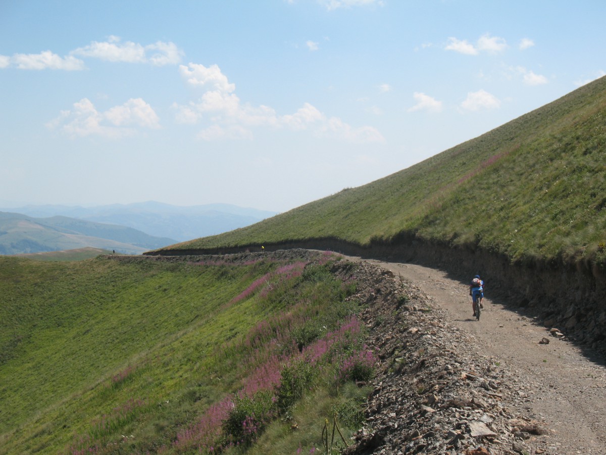 Vranje-Streser (Pera) (119)