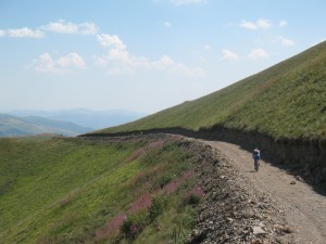 Vranje-Streser (Pera) (119)