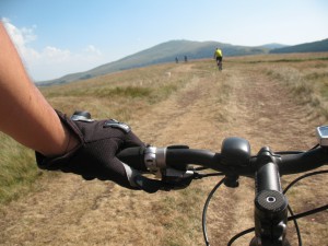 Vranje-Streser (Pera) (131)
