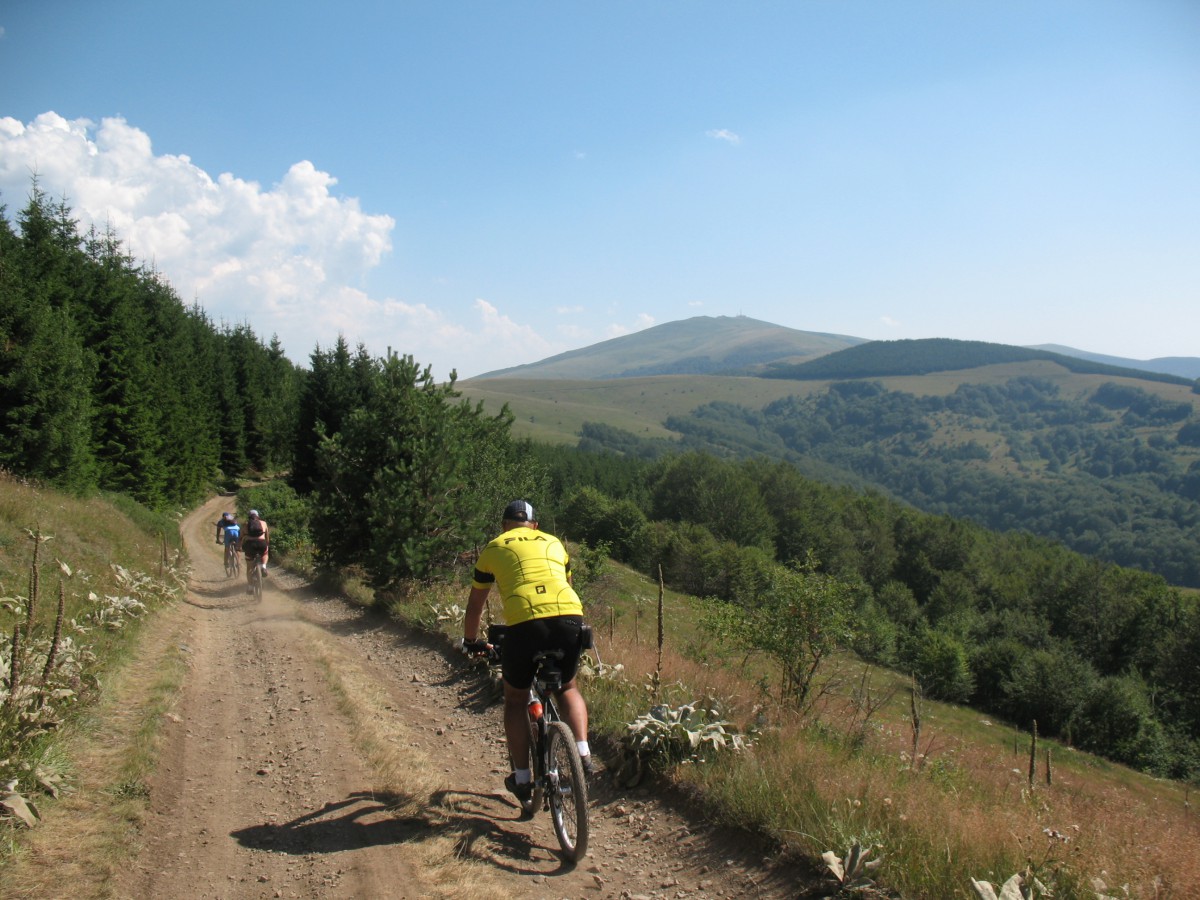 Vranje-Streser (Pera) (127)