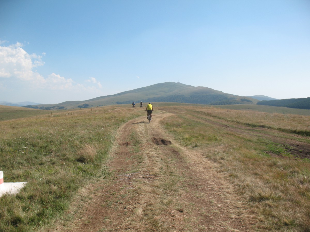 Vranje-Streser (Pera) (132)