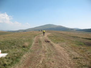 Vranje-Streser (Pera) (132)