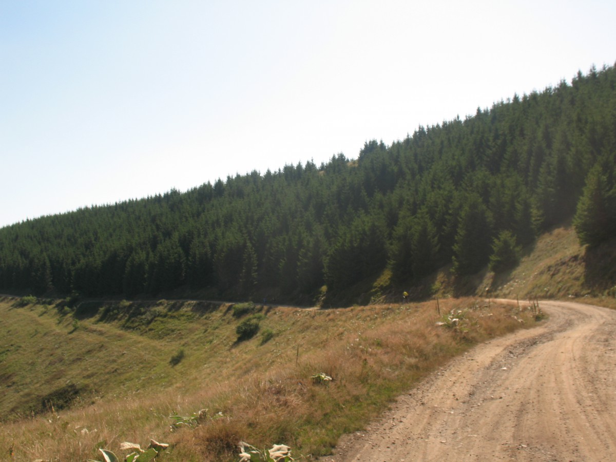 Vranje-Streser (Pera) (139)