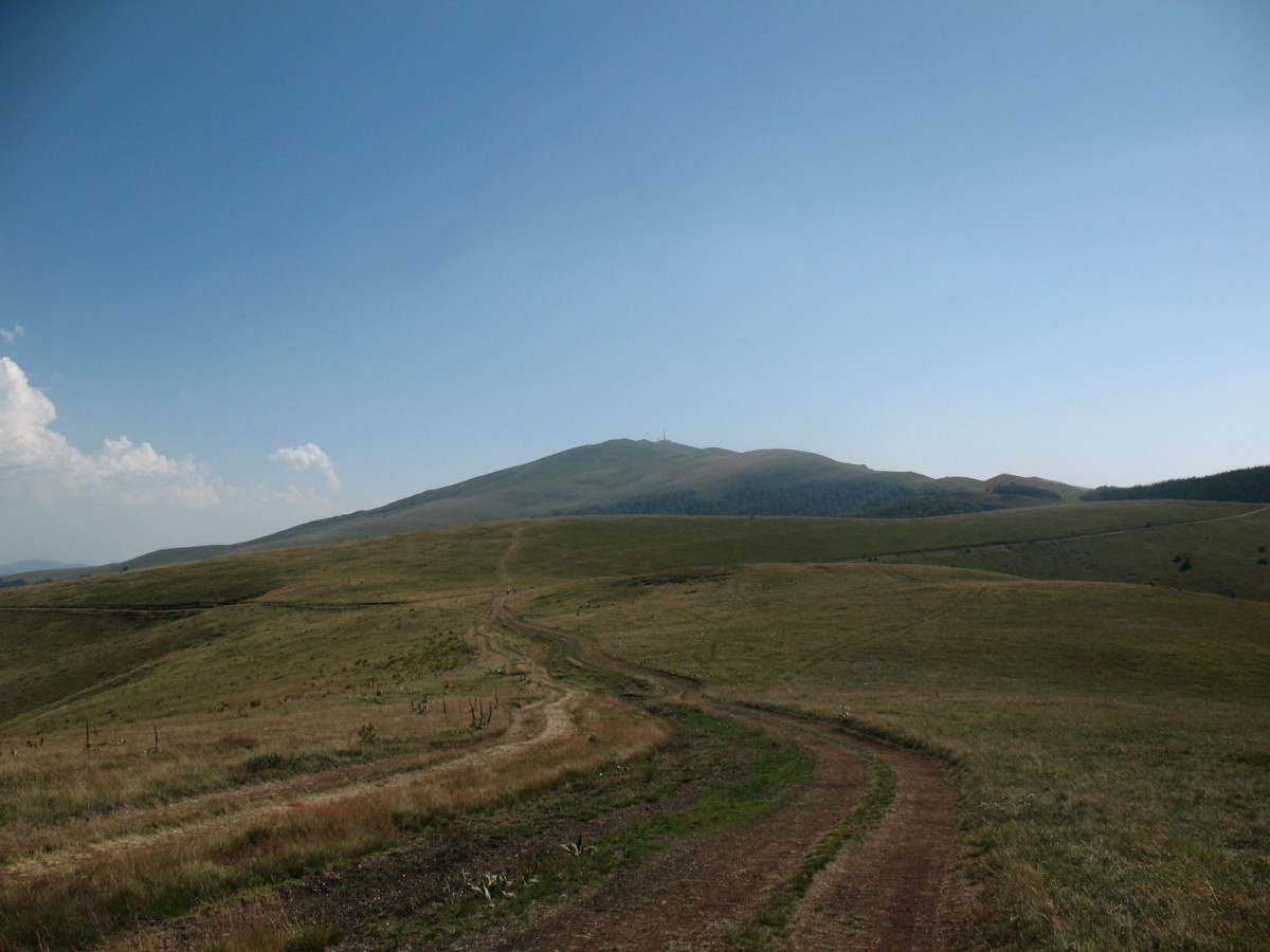Vranje-Streser (Pera) (137)