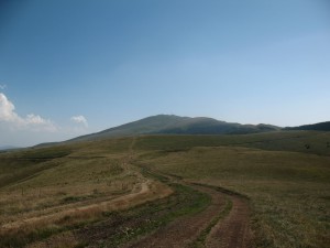 Vranje-Streser (Pera) (137)