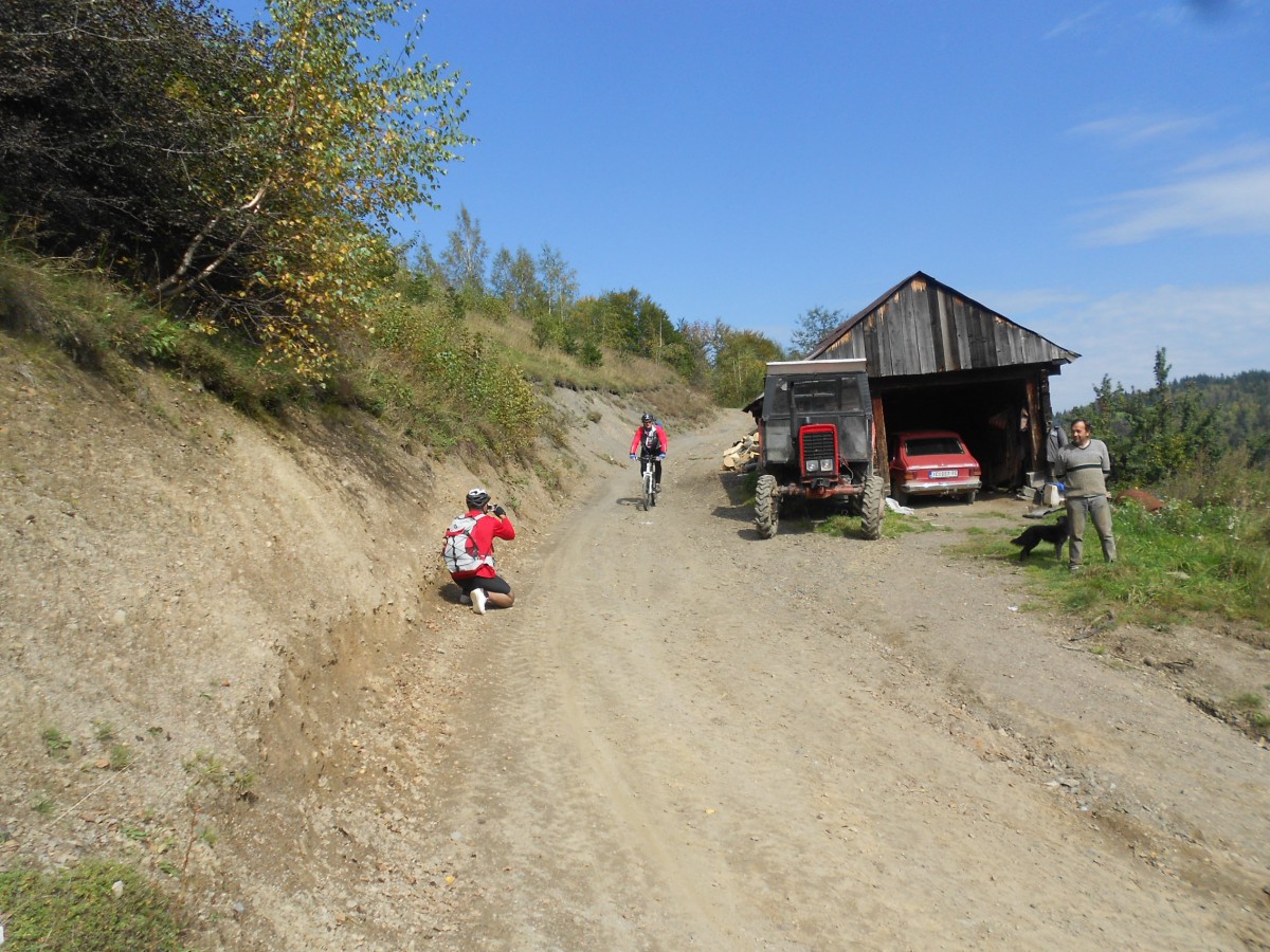izbor 25