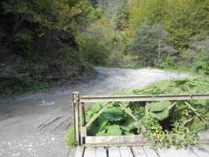 izbor 31