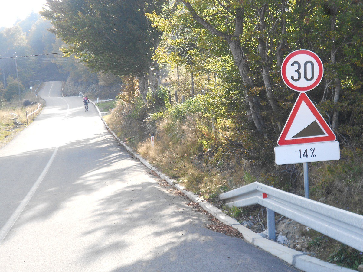 izbor 15