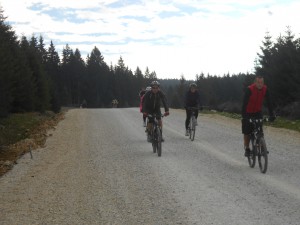 izbor 16