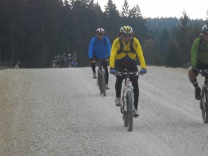 izbor 17
