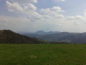 20150412_142604