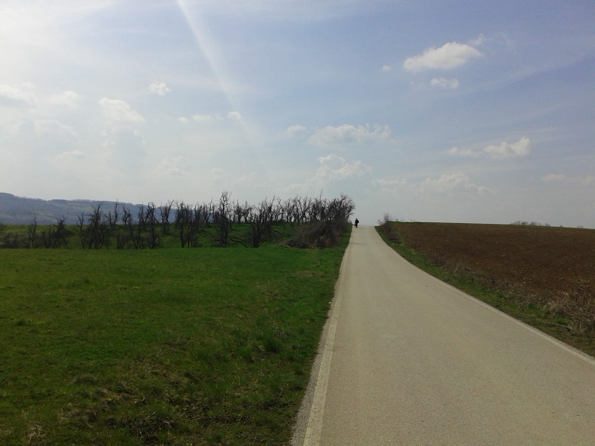 20150412_142609